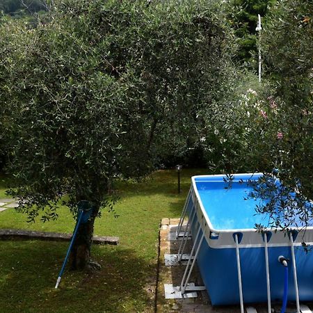 Villa Belvedere Albisano Torri Del Benaco Dış mekan fotoğraf